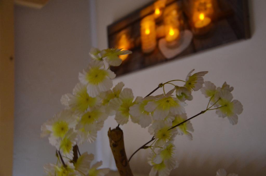 Lélex Relais Mont Jura Adults Only Bed & Breakfast エクステリア 写真
